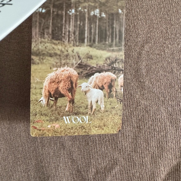 Elegant Sleeveless Tan Top for Women - Picture 4 of 7